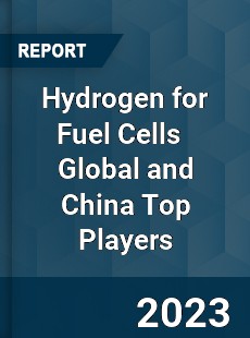 Hydrogen for Fuel Cells Global and China Top Players Market