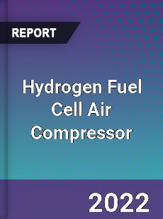 Hydrogen Fuel Cell Air Compressor Market