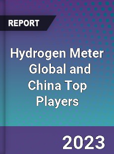 Hydrogen Meter Global and China Top Players Market