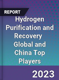 Hydrogen Purification and Recovery Global and China Top Players Market