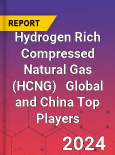 Hydrogen Rich Compressed Natural Gas Global and China Top Players Market