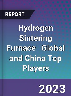 Hydrogen Sintering Furnace Global and China Top Players Market