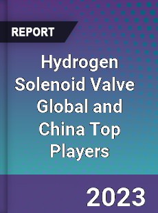 Hydrogen Solenoid Valve Global and China Top Players Market