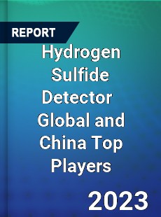 Hydrogen Sulfide Detector Global and China Top Players Market