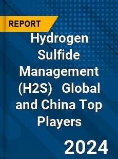 Hydrogen Sulfide Management Global and China Top Players Market