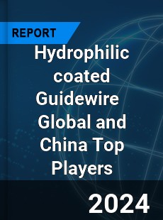 Hydrophilic coated Guidewire Global and China Top Players Market