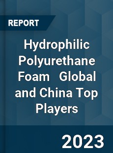 Hydrophilic Polyurethane Foam Global and China Top Players Market