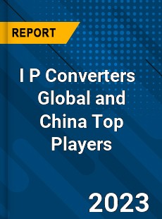 I P Converters Global and China Top Players Market