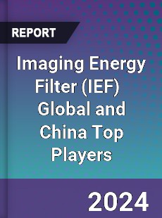 Imaging Energy Filter Global and China Top Players Market