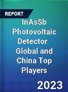 InAsSb Photovoltaic Detector Global and China Top Players Market