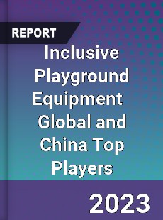 Inclusive Playground Equipment Global and China Top Players Market