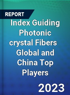 Index Guiding Photonic crystal Fibers Global and China Top Players Market