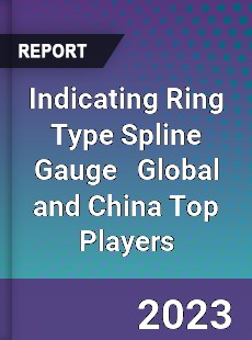 Indicating Ring Type Spline Gauge Global and China Top Players Market