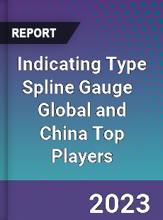 Indicating Type Spline Gauge Global and China Top Players Market