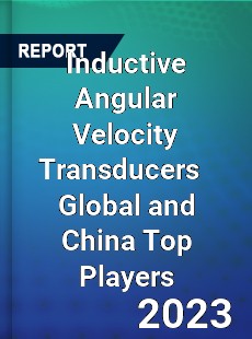 Inductive Angular Velocity Transducers Global and China Top Players Market