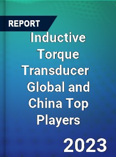 Inductive Torque Transducer Global and China Top Players Market