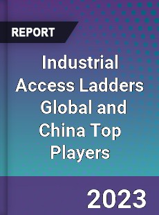 Industrial Access Ladders Global and China Top Players Market