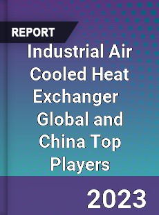 Industrial Air Cooled Heat Exchanger Global and China Top Players Market