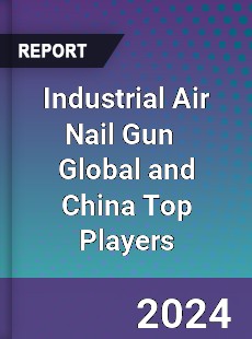 Industrial Air Nail Gun Global and China Top Players Market