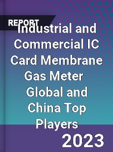 Industrial and Commercial IC Card Membrane Gas Meter Global and China Top Players Market