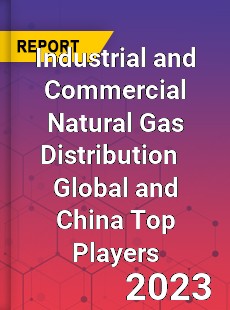 Industrial and Commercial Natural Gas Distribution Global and China Top Players Market