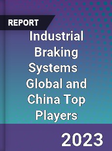 Industrial Braking Systems Global and China Top Players Market