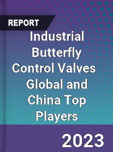 Industrial Butterfly Control Valves Global and China Top Players Market