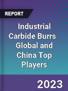 Industrial Carbide Burrs Global and China Top Players Market