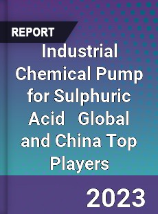 Industrial Chemical Pump for Sulphuric Acid Global and China Top Players Market