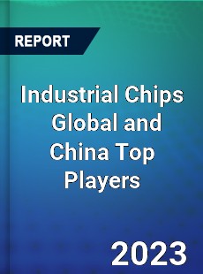 Industrial Chips Global and China Top Players Market