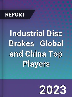 Industrial Disc Brakes Global and China Top Players Market