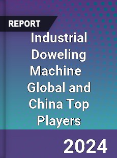 Industrial Doweling Machine Global and China Top Players Market