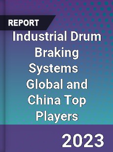 Industrial Drum Braking Systems Global and China Top Players Market