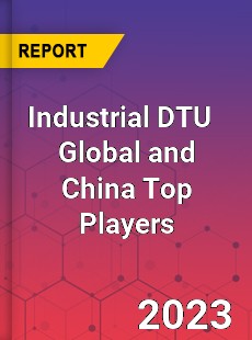 Industrial DTU Global and China Top Players Market