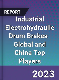 Industrial Electrohydraulic Drum Brakes Global and China Top Players Market