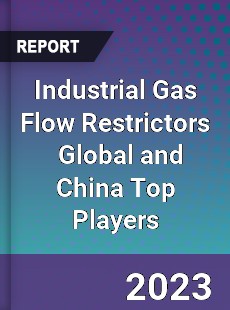 Industrial Gas Flow Restrictors Global and China Top Players Market