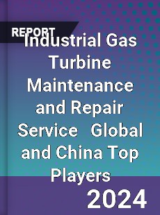 Industrial Gas Turbine Maintenance and Repair Service Global and China Top Players Market