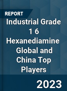 Industrial Grade 1 6 Hexanediamine Global and China Top Players Market