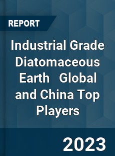 Industrial Grade Diatomaceous Earth Global and China Top Players Market