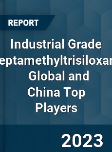 Industrial Grade Heptamethyltrisiloxane Global and China Top Players Market