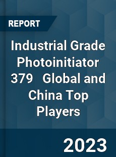 Industrial Grade Photoinitiator 379 Global and China Top Players Market