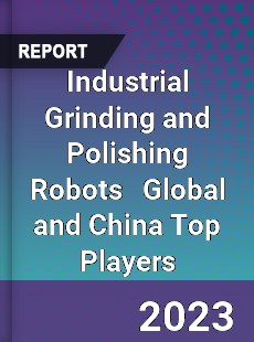 Industrial Grinding and Polishing Robots Global and China Top Players Market