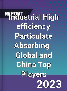 Industrial High efficiency Particulate Absorbing Global and China Top Players Market