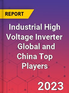 Industrial High Voltage Inverter Global and China Top Players Market