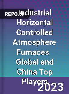 Industrial Horizontal Controlled Atmosphere Furnaces Global and China Top Players Market