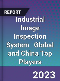 Industrial Image Inspection System Global and China Top Players Market