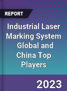 Industrial Laser Marking System Global and China Top Players Market