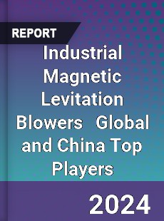 Industrial Magnetic Levitation Blowers Global and China Top Players Market