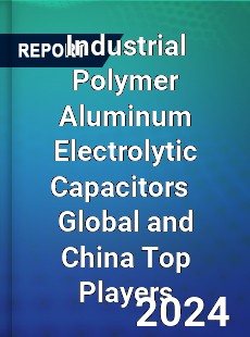 Industrial Polymer Aluminum Electrolytic Capacitors Global and China Top Players Market