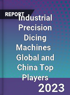 Industrial Precision Dicing Machines Global and China Top Players Market